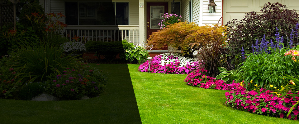 Carrboro Landscapers