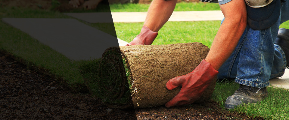 Carrboro Landscapers